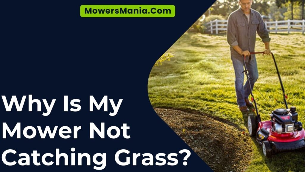 Why Is My Mower Not Catching Grass?