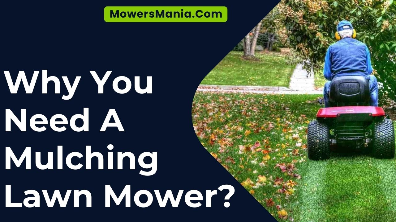 Why You Need A Mulching Lawn Mower