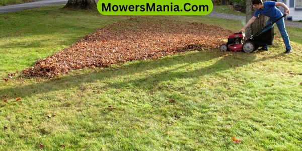 Benefits of Using a Mulching Lawn Mower