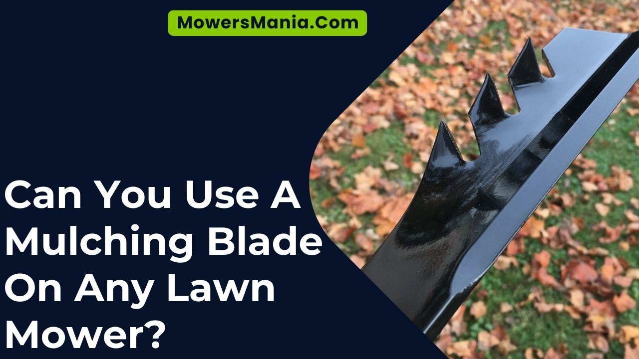 Can You Use A Mulching Blade On Any Lawn Mower