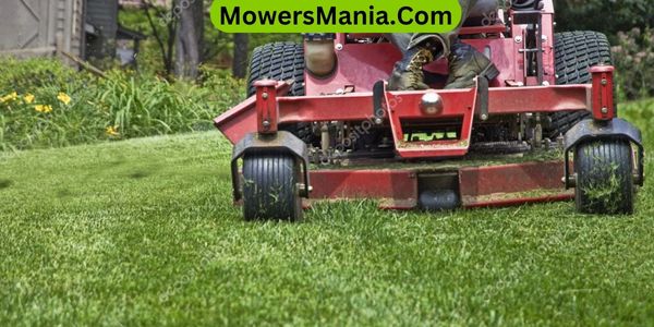 Can lawn recover from scalping