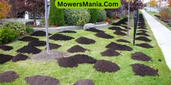 Choose Compost Carefully When Topdressing the Lawn