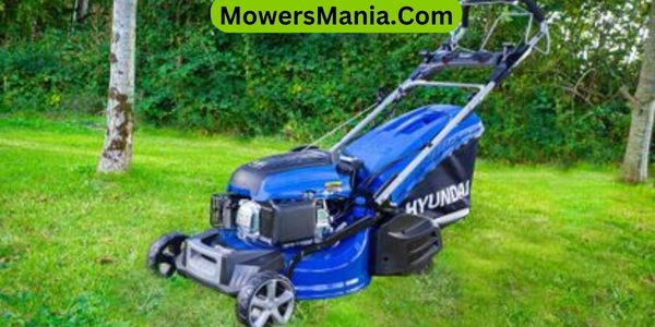 Choosing the Right Lawn Mower for your Lawn Size