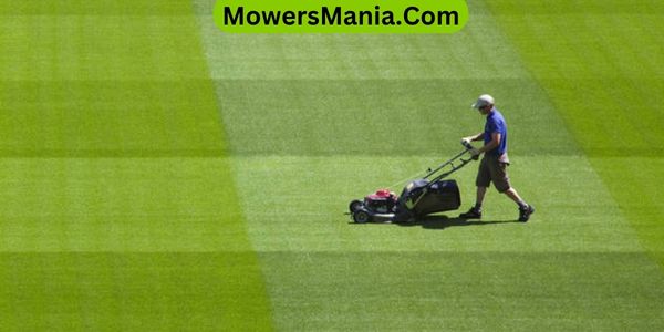 Enhancing Striped Lawn Appearance With Lawn Care Products