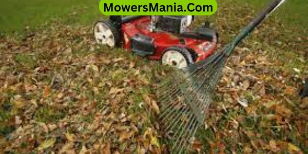 Factors Affecting Electric Mower Performance