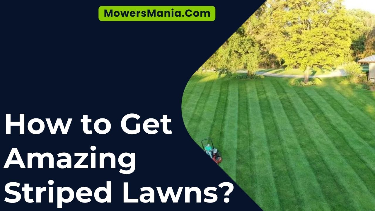 How To Get Amazing Striped Lawns