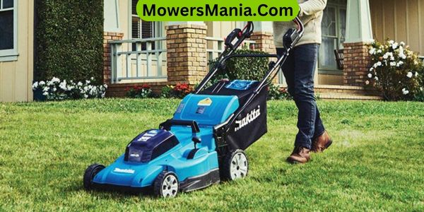 How to choose the right lawn mower for your yard