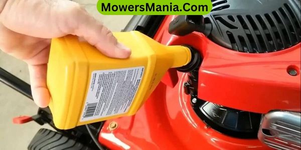 Importance of Using the Right Oil