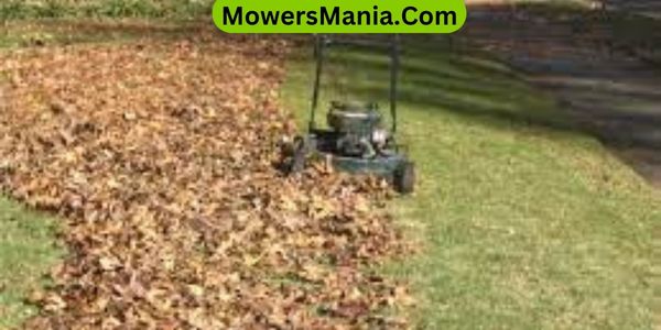 Lawn Care After Mulching Leaves