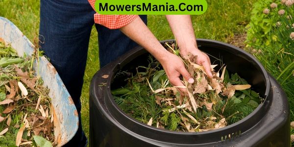Maintaining a Healthy Lawn With Compost