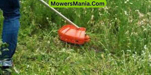 Techniques for Efficient Grass Cutting