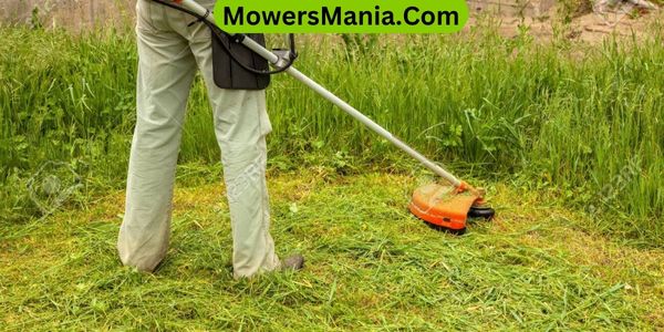 Tips for Maintaining a Tidy Yard Without a Mower