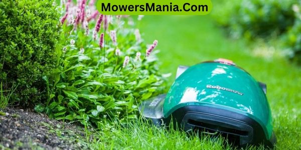 Tips for Managing Long Grass