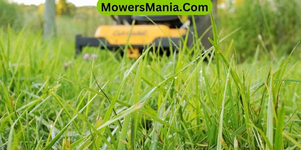 Tips for Mowing Wet Grass