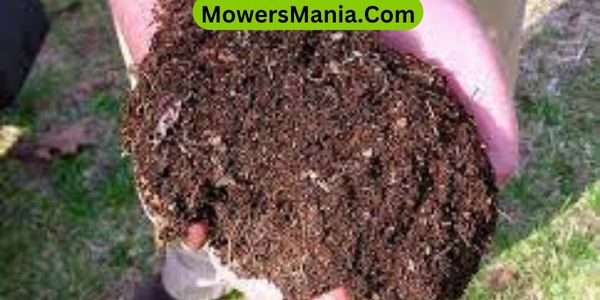 Which compost is best for lawns