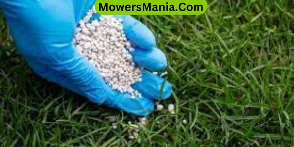 Are Lawn Fertilizers and Pesticides Harmful to Children