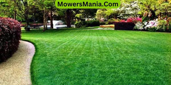 Ways to Keep Your Lawn Green