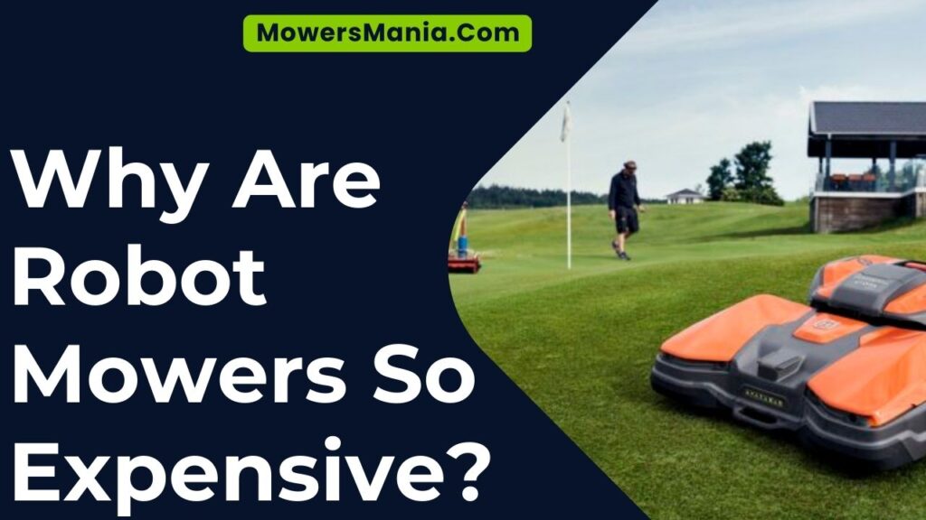 Why Are Robot Mowers So Expensive?