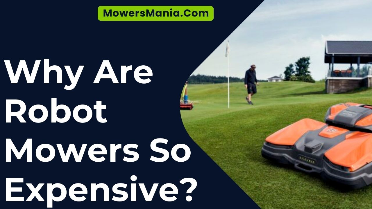 Why Are Robot Mowers So Expensive