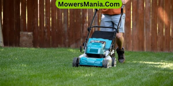 price and value of both the Makita and Ego mowers