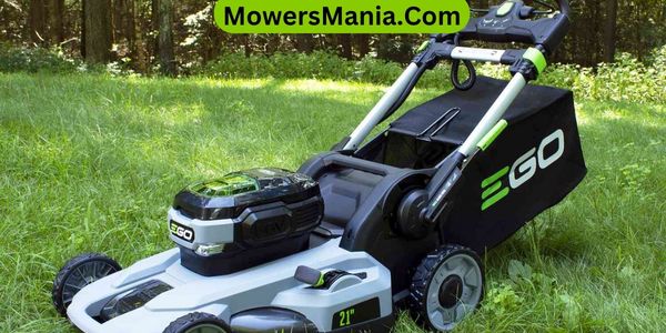 value for money of the Worx mower and the EGo mower